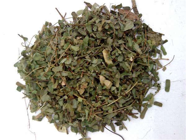 鸡骨草烘干工艺