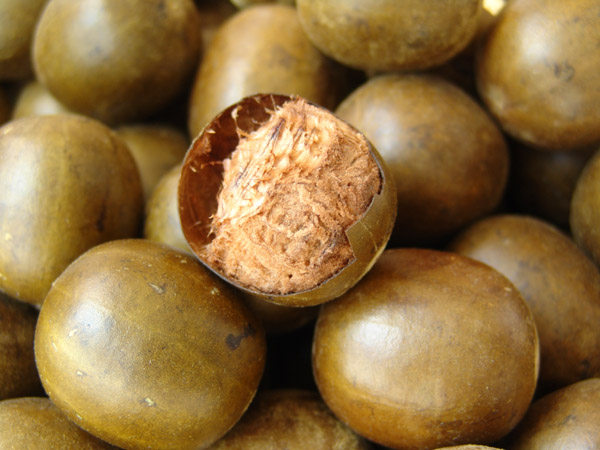 罗汉果烘干工艺